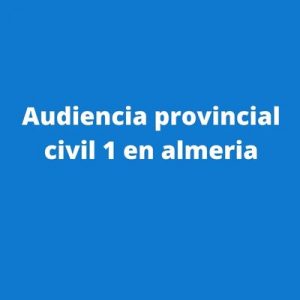 Audiencia provincial civil 1 en almeria