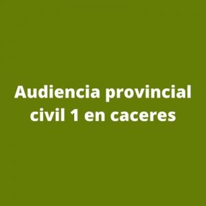 AudieAudiencia provincial civil 1 en caceresncia provincial civil 1 en caceres