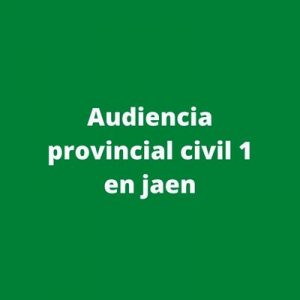 Audiencia provincial civil 1 en jaen