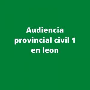 Audiencia provincial civil 1 en leon