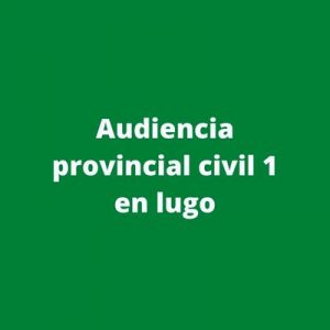 Audiencia provincial civil 1 en lugo