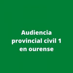 Audiencia provincial civil 1 en ourense