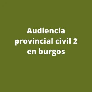 Audiencia provincial civil 2 en burgos