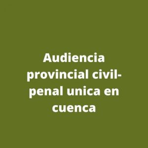 Audiencia provincial civil-penal unica en cuenca