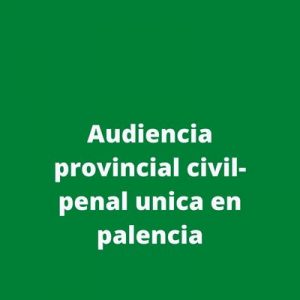 Audiencia provincial civil-penal unica en palencia