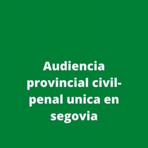 Audiencia provincial civil-penal unica en segovia