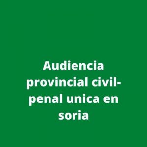 Audiencia provincial civil-penal unica en soria