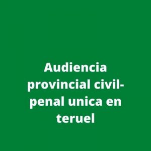 Audiencia provincial civil-penal unica en teruel