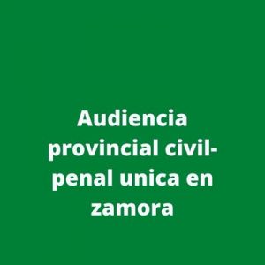 Audiencia provincial civil-penal unica en zamora