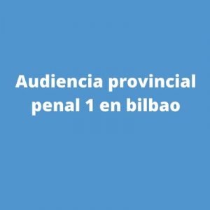 Audiencia provincial penal 1 en bilbao