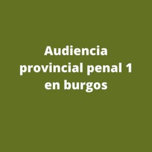 Audiencia provincial penal 1 en burgos