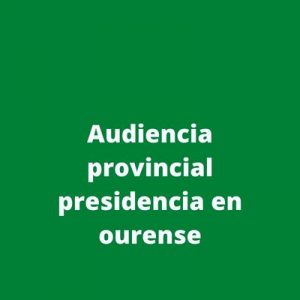 Audiencia provincial presidencia en ourense