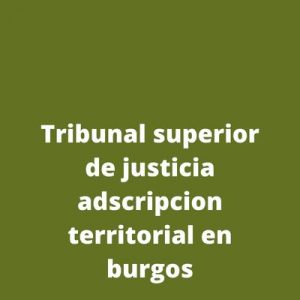 Tribunal superior de justicia adscripcion territorial en burgos